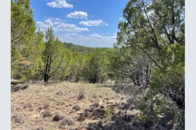 597 Tbd, Graford, TX 76449 - Photo 8