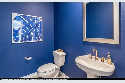 1428 Bettolo Drive, Celina, TX 75009 - Photo 4