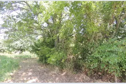 Tbd County Road 3303, Greenville, TX 75401 - Photo 20