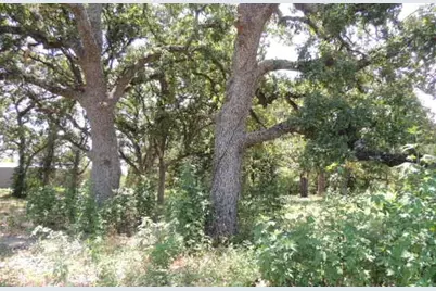 Tbd County Road 3303, Greenville, TX 75401 - Photo 12