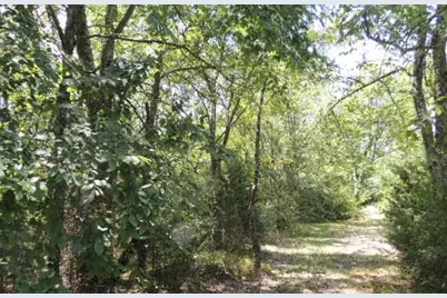 Tbd County Road 3303, Greenville, TX 75401 - Photo 10