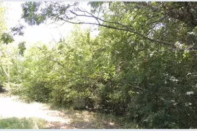 Tbd County Road 3303, Greenville, TX 75401 - Photo 2