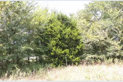 Tbd County Road 3303, Greenville, TX 75401 - Photo 6