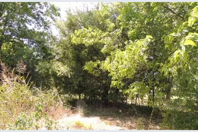 Tbd County Road 3303, Greenville, TX 75401 - Photo 8