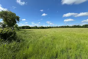 Lot 2 Tribble Rd, Sherman, TX 75090 - Photo 1