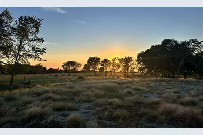 000 McConnell Road, Gunter, TX 75058 - Photo 2