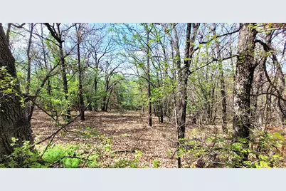 397 Clubhouse Drive, Joshua, TX 76058 - Photo 8