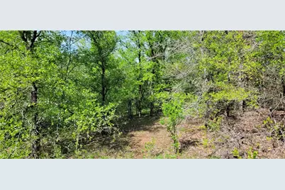 397 Clubhouse Drive, Joshua, TX 76058 - Photo 14