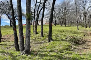 1130/1131 N Walnut Creek Dr Dr, Mansfield, TX 76063 - Photo 6