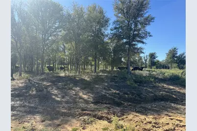 15 Fellowship Trail Drive, Perrin, TX 76486 - Photo 6