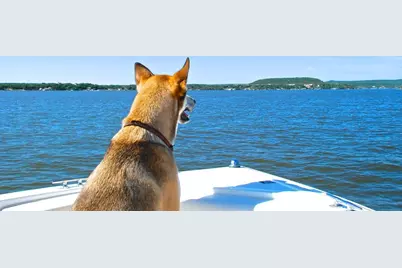 Lot 319 Shooting Star, Possum Kingdom Lake, TX 76449 - Photo 26