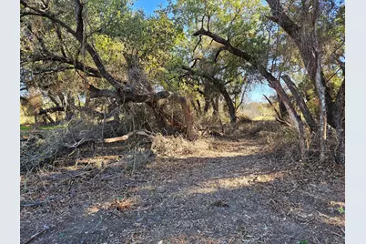 442 Hollow Drive, Lipan, TX 76462 - Photo 12