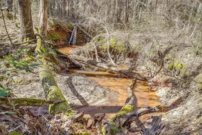 439 County Road 3190, Winnsboro, TX 75494 - Photo 18