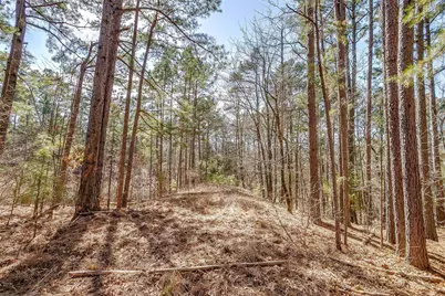 439 County Road 3190, Winnsboro, TX 75494 - Photo 20