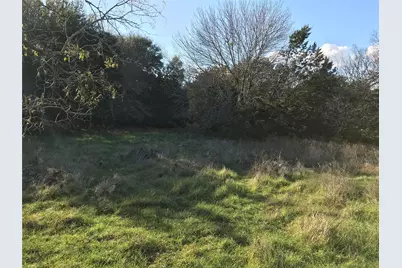 1414 Lakeside Trail, Whitney, TX 76692 - Photo 8
