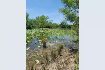 1770 County Road 2116, Greenville, TX 75402 - Photo 8