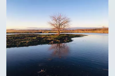 Tbd County Road 4518, Wolfe City, TX 75496 - Photo 14