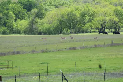 Tbd County Road 4518, Wolfe City, TX 75496 - Photo 1