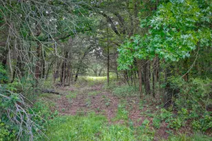 783 Co Rd 128, Gainesville, TX 76240 - Photo 2