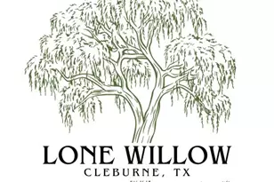 3341 County Rd 1224, Cleburne, TX 76033 - Photo 28