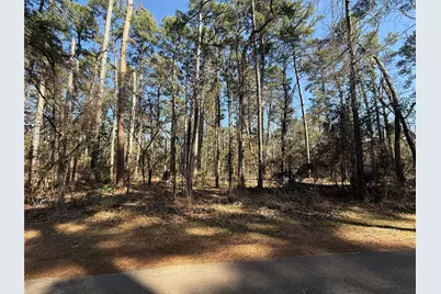 Lot 3 Private Road 8573, Winnsboro, TX 75494 - Photo 1