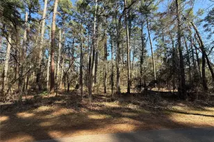 Lot 3 Private Road 8573, Winnsboro, TX 75494 - Photo 1