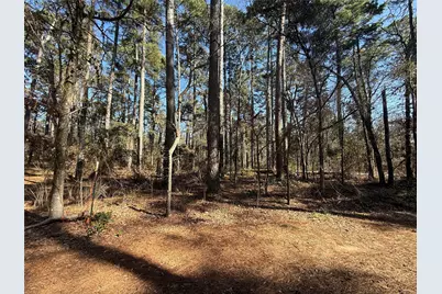 Lot 3 Private Road 8573, Winnsboro, TX 75494 - Photo 2