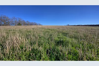 Tbd Longbranch Road, Nocona, TX 76255 - Photo 6