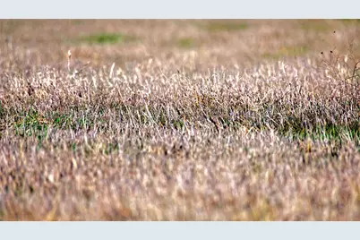 Tbd Longbranch Road, Nocona, TX 76255 - Photo 24