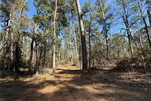 Lot 2 Private Road 8573, Winnsboro, TX 75494 - Photo 1