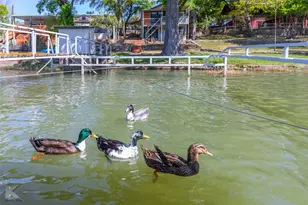 8425 County Rd 464, Brownwood, TX 76801 - Photo 28