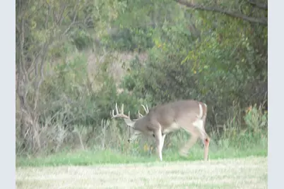 4536 County Road 132, Stephenville, TX 76401 - Photo 34