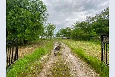 37444 State Highway 64, Wills Point, TX 75169 - Photo 2