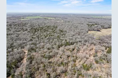 1393 County Road 2250, Ivanhoe, TX 75447 - Photo 40