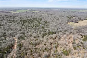 1393 Co Rd 2250, Ivanhoe, TX 75447 - Photo 40