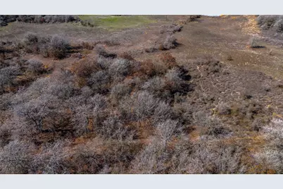 Tbd Salt Creek Road, Springtown, TX 76082 - Photo 12