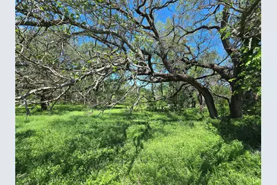 450 County Road 250, Gustine, TX 76455 - Photo 8