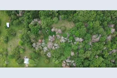 11203 County Road 2170, Corsicana, TX 75109 - Photo 6