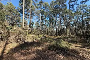 Lot 4 Private Road 8573, Winnsboro, TX 75494 - Photo 1