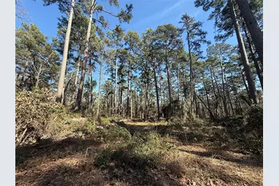 Lot 4 Private Road 8573, Winnsboro, TX 75494 - Photo 2