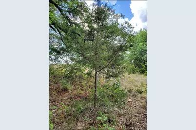 6520 Charleton Lane, Cleburne, TX 76033 - Photo 8