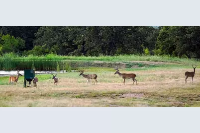 15110 Interstate 20, Cisco, TX 76437 - Photo 8