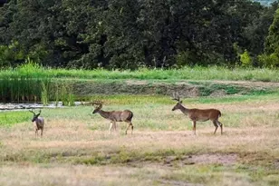 15110 Interstate 20, Cisco, TX 76437 - Photo 8