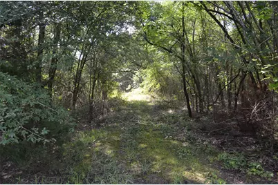 760 Vz County Road #2315, Eustace, TX 75124 - Photo 14