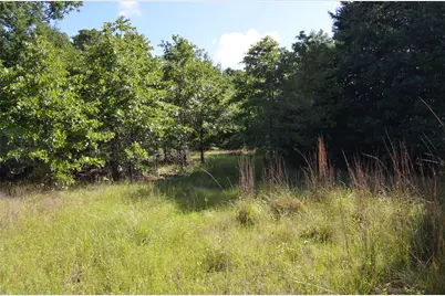 760 Vz County Road #2315, Eustace, TX 75124 - Photo 4