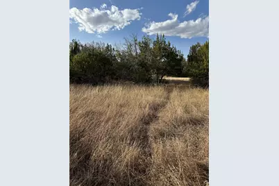 32039 Dove Trail, Whitney, TX 76692 - Photo 10