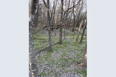 12147 Trailwood Drive, Whitney, TX 76692 - Photo 14