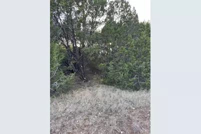 22295 Westmeadow Drive, Whitney, TX 76692 - Photo 2
