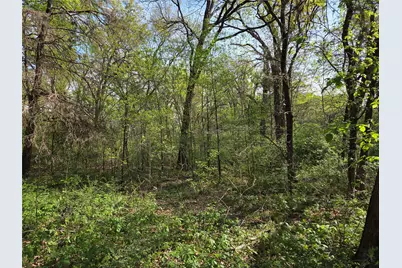 Lot 97 Tonkawa Trail, Corsicana, TX 75109 - Photo 22