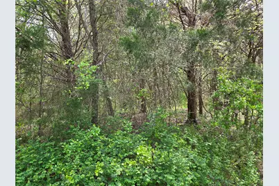 Lot 95 Stillwater Shores Drive, Corsicana, TX 75109 - Photo 26